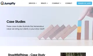 Preview of the ShopWildThings Case Study