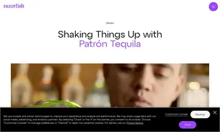 Preview of the Patron Case Study