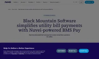Preview of the Black Mountain Software Case Study