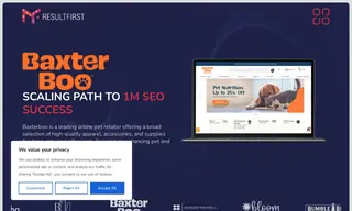 Preview of the BaxterBoo Case Study