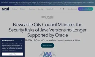 Preview of the Newcastle City Council Case Study