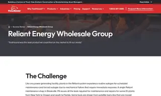 Preview of the Reliant Energy Wholesale Group Case Study