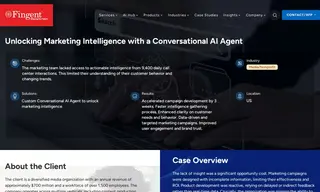 Preview of the Diversified Media Organization Case Study