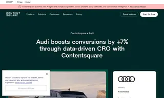 Preview of the Audi Case Study