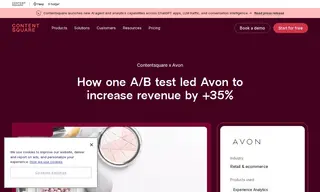 Preview of the Avon Case Study