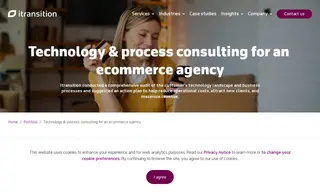 Preview of the eCommerce Agency Case Study