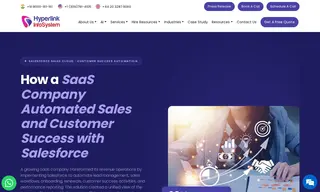 Preview of the SaaS Company Case Study
