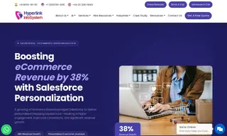 Preview of the eCommerce Brand Case Study