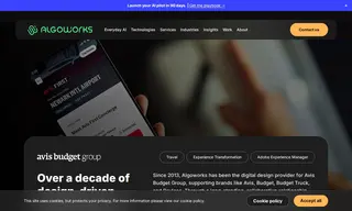 Preview of the Avis Budget Group Case Study