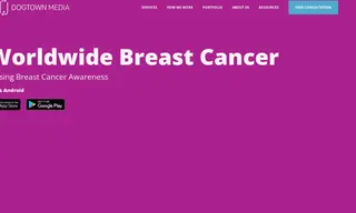 Preview of the Worldwide Breast Cancer Case Study