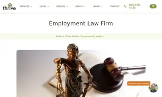 Preview of the Employment Law Firm Case Study