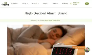 Preview of the High-Decibel Alarm Brand Case Study