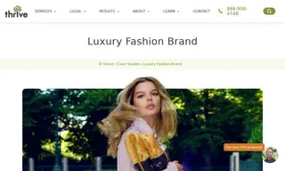 Preview of the Luxury Fashion Brand Case Study