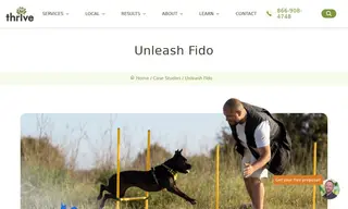 Preview of the Unleash Fido Case Study