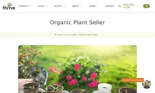 Preview of the Organic Plant Seller Case Study