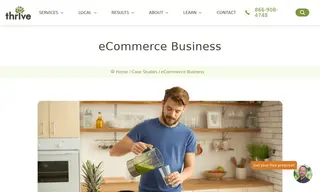 Preview of the Ecommerce Business Case Study