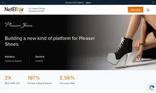 Preview of the Pleaser Shoes Case Study