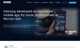 Preview of the Morton Salt, Inc Case Study