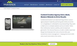 Preview of the Cumberland Creative Case Study