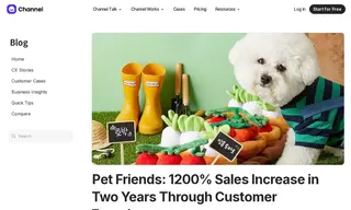 Preview of the Pet Friends Case Study