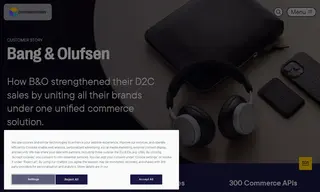 Preview of the Bang & Olufsen Case Study
