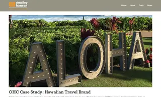 Preview of the Hawaiian Travel Brand Case Study