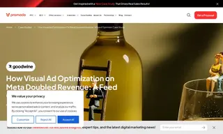 Preview of the Goodwine Case Study