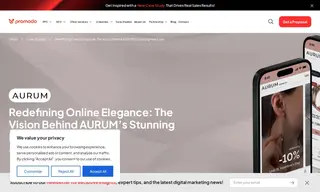 Preview of the Aurum Case Study