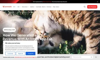 Preview of the Zootovary.com Case Study