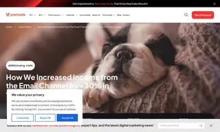 Preview of the Zootovary.com Case Study
