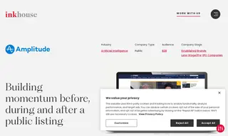 Preview of the Amplitude Case Study
