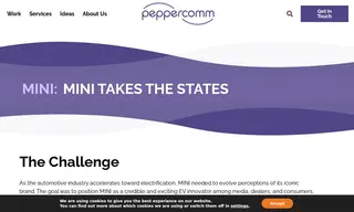 Preview of the MINI Case Study