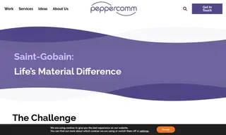 Preview of the Saint-Gobain Case Study