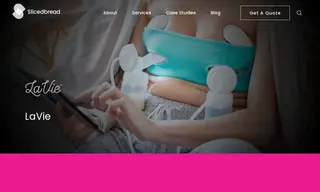 Preview of the LaVie Case Study