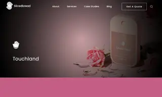 Preview of the Touchland Case Study