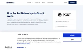 Preview of the Pocket Network Case Study