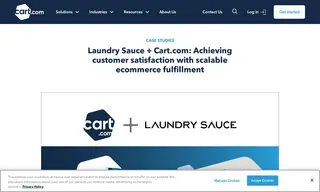 Preview of the Laundry Sauce Case Study