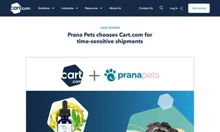 Preview of the Prana Pets Case Study