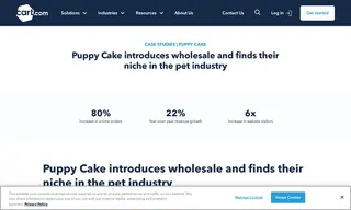Preview of the Puppy Cake Case Study
