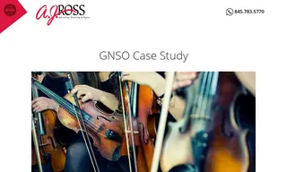 Preview of the GNSO Case Study