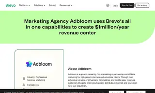 Preview of the Adbloom Case Study