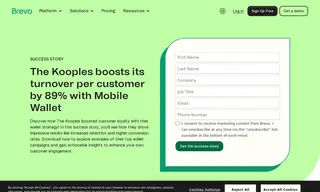 Preview of the The Kooples Case Study