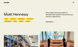 Preview of the Moët Hennessy Case Study