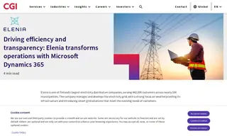 Preview of the Elenia Case Study