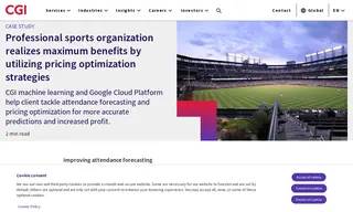 Preview of the Professional Sports Organization in the U.S Case Study