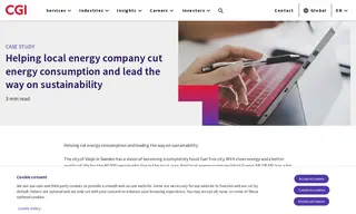 Preview of the Växjö Energi AB (veab) Case Study