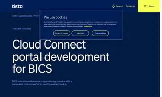 Preview of the BICS Case Study