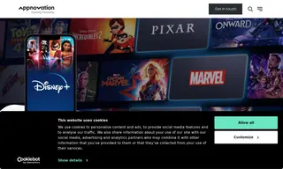 Preview of the Disney Case Study