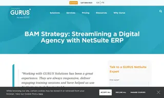 Preview of the BAM Strategy Case Study