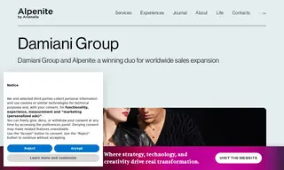 Preview of the Damiani Group Case Study
